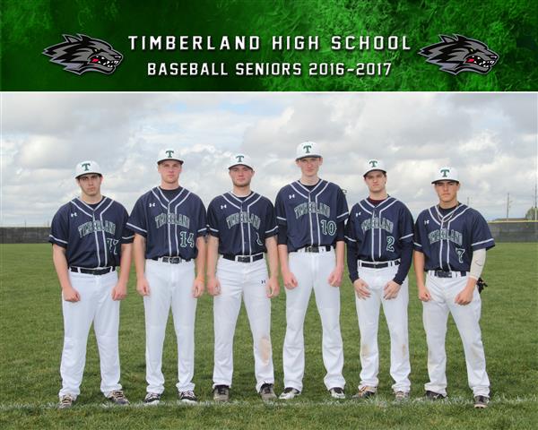 Baseball Seniors 2017 